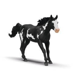 Hongre Paint Horse Horse...