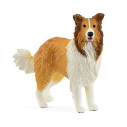 Chien colley