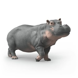 Hippopotame Wild Life...