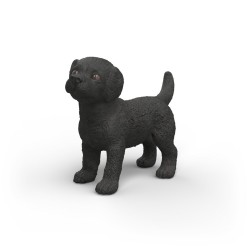 Chiot Labrador Retriever...