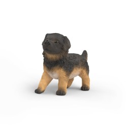 Berger Allemand Chiot Farm...