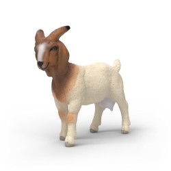 Chèvre Boer Farm World...