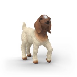 Chevreau Boer Farm World...