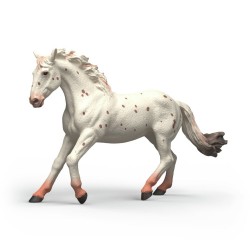 Jument Knabstrupper Horse...