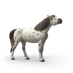Cheval Hongre Knabstrupper...