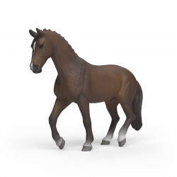 Hongre Kwpn  Horse Club...