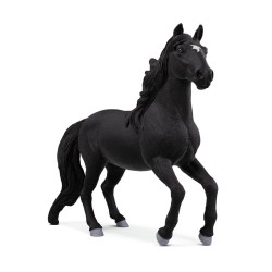 Étalon Lusitanien Horse...