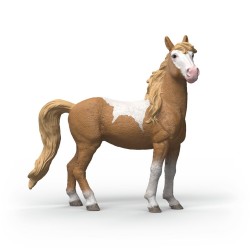 Jument Mustang Horse Club...