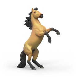 Étalon Mustang Horse Club...