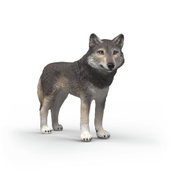 Loup Américain Wild Life...