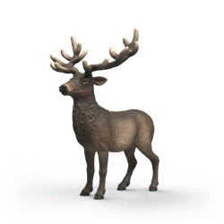Élan D'Amérique Wild Life...