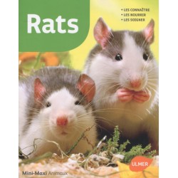 Livre - Rats -Mini Maxi-ULMER