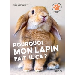 Livre - Pourquoi Mon Lapin...