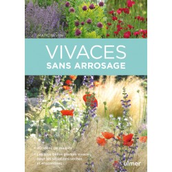 Livre - Vivaces Sans...