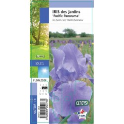 IRIS germanica 'Pacific...