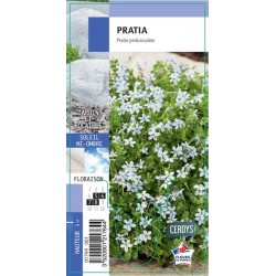 PRATIA G8