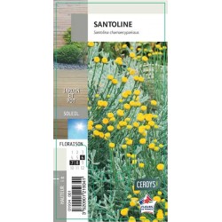 SANTOLINE G8