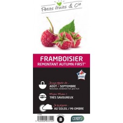 FRAMBOISIER Autumn First®...