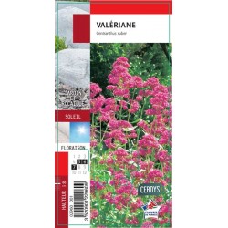 VALERIANE officinale G8