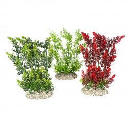PLANTE ELODEA DENSA L H25...