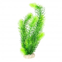 PLANTE HORNWORT L H32 vert...