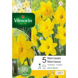 VILMORIN NARCISSES...