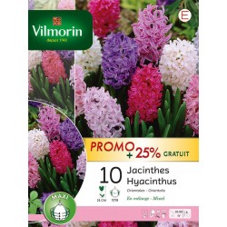 VILMORIN PROMO+25% GRATUIT...