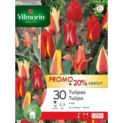 VILMORIN PROMO+20% GRATUIT...
