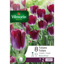 VILMORIN TULIPES triomphe...