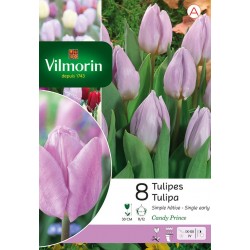 VILMORIN TULIPES simple...