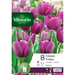 VILMORIN TULIPES triomphe...