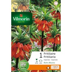 VILMORIN FRITILLAIRE...