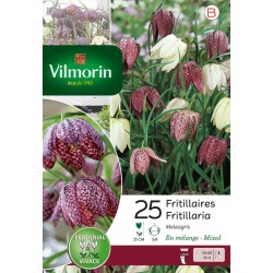 VILMORIN FRITILLAIRES...
