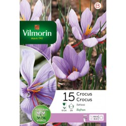 VILMORIN CROCUS sativus...