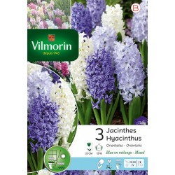 VILMORIN JACINTHES...