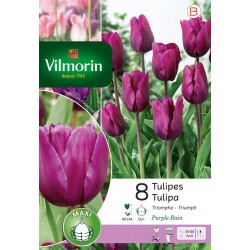 VILMORIN TULIPES triomphe...