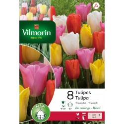 VILMORIN TULIPES Triomphe...