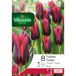 VILMORIN TULIPES triomphe...