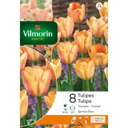 VILMORIN TULIPES triomphe...