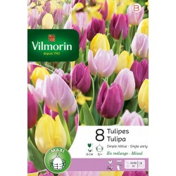 VILMORIN TULIPES Simple...