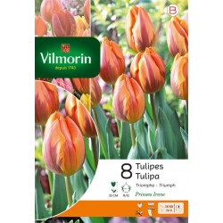 VILMORIN TULIPES triomphe...