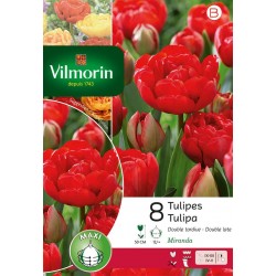 VILMORIN TULIPES double...