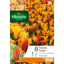 VILMORIN TULIPES fleur de...