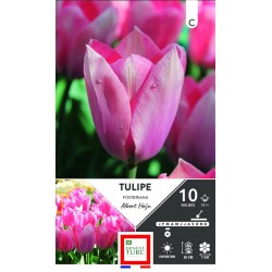 ERNEST TURC TULIPE...