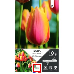 ERNEST TURC TULIPE simple...