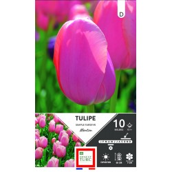 ERNEST TURC TULIPE simple...