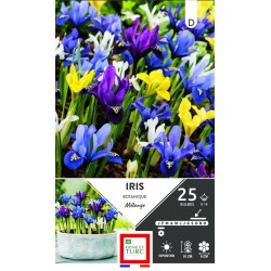 ERNEST TURC IRIS Botanique...