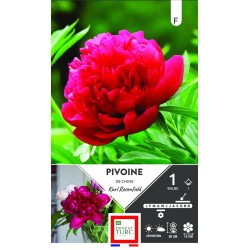 ERNEST TURC PIVOINE de...