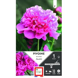 ERNEST TURC PIVOINE de...