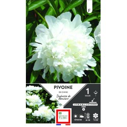 ERNEST TURC PIVOINE de...